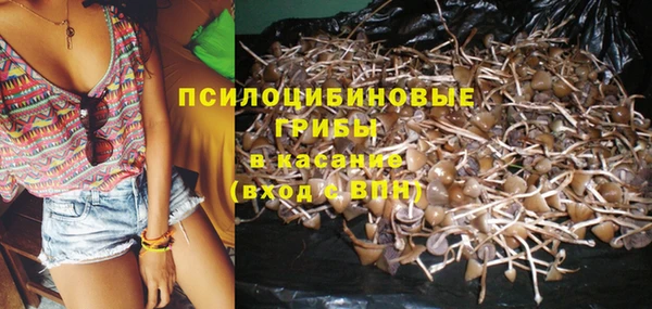 спиды Аркадак