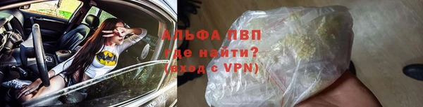 амф Арсеньев