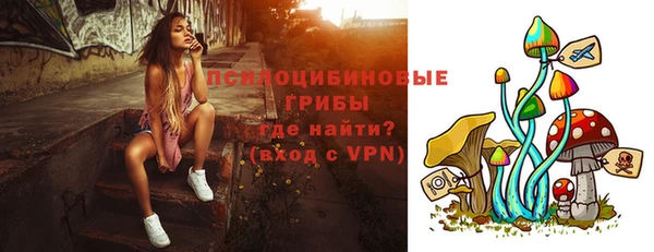 амф Арсеньев