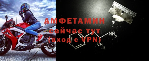 спиды Аркадак
